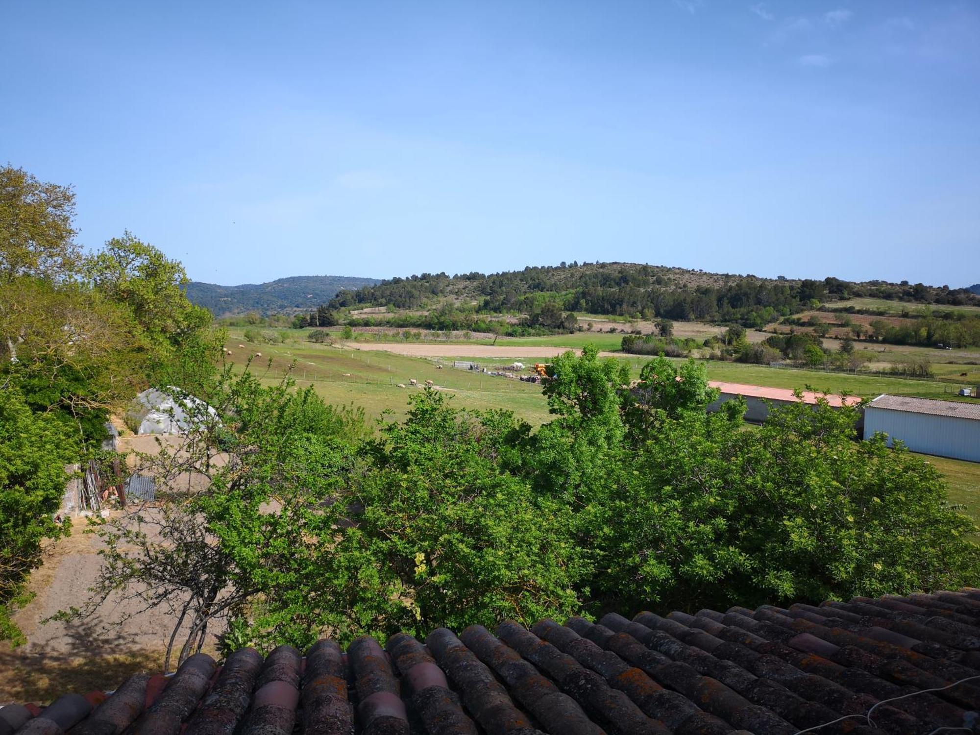 L'Ours Des Corbieres - Chambres D'Hotes Servies-en-Val Szoba fotó